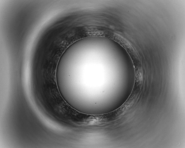 X0000096720764200802051442