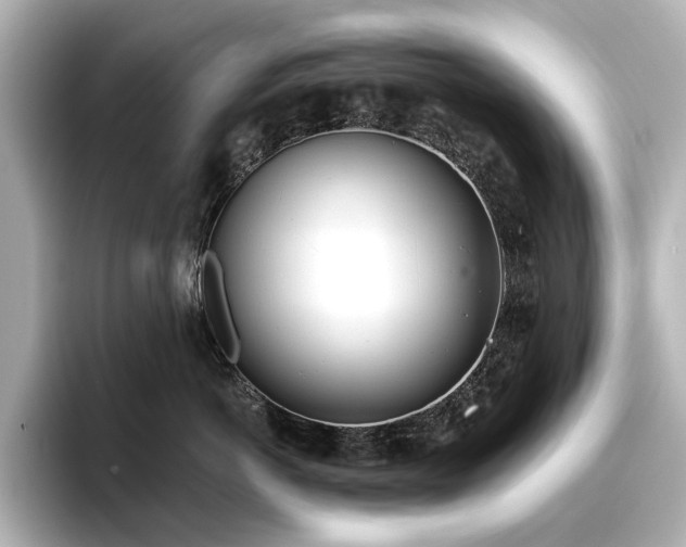 X0000096720766200802051443
