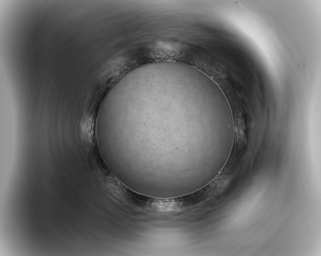 X0000096720767200802051443