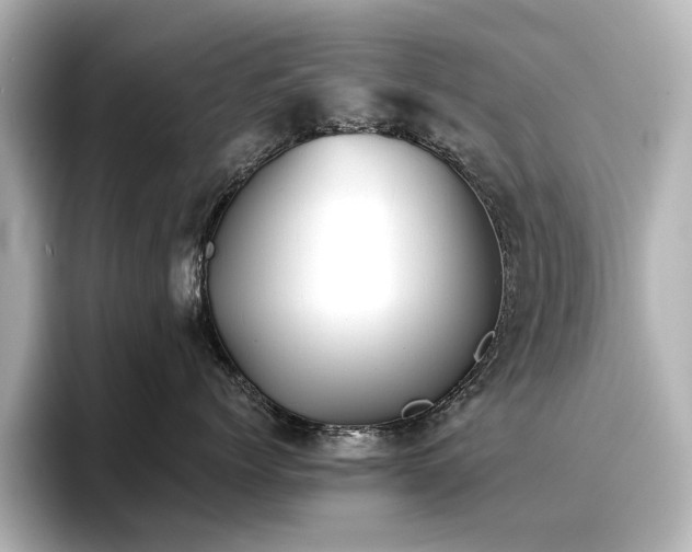 X0000096720768200802051443