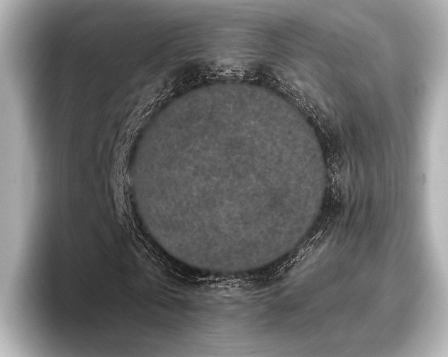 X0000096720769200802051442