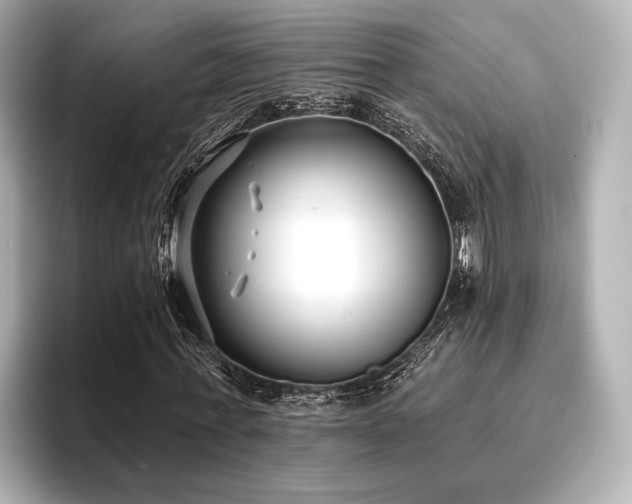 X0000096720771200802051442