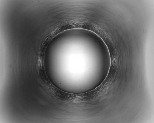 X0000096720772200802051442