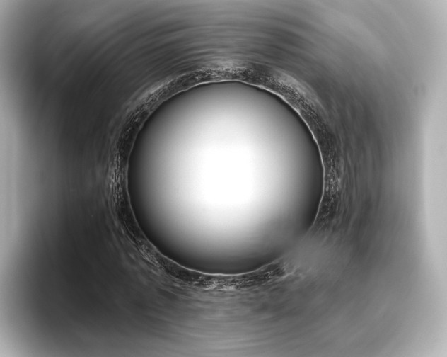 X0000096720773200802051442