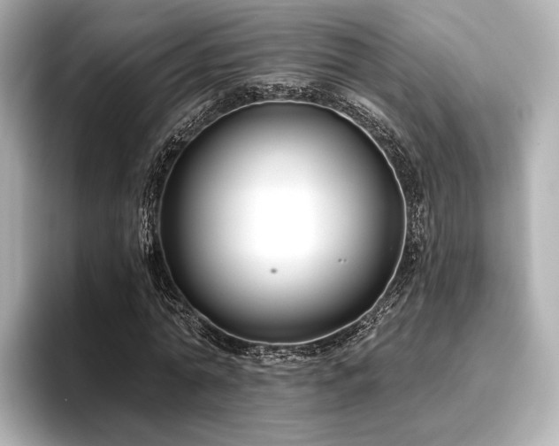 X0000096720774200802051442