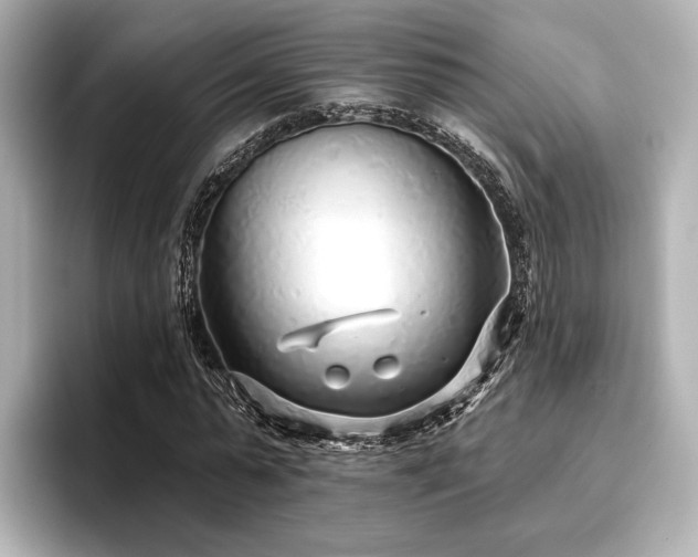 X0000096720775200802051442