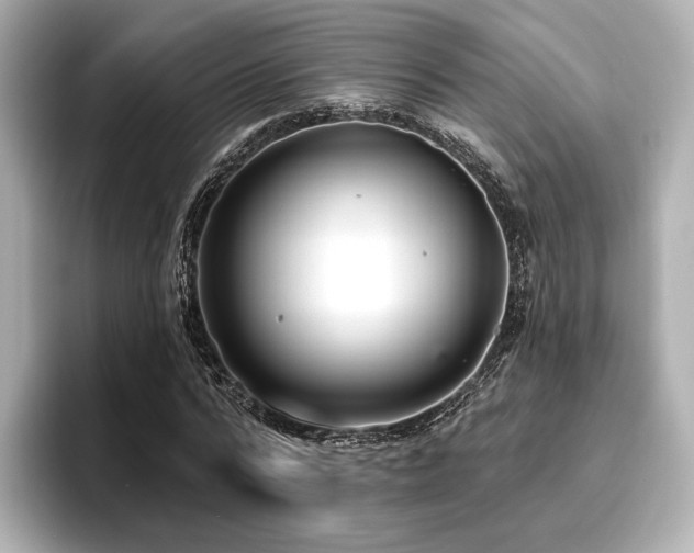 X0000096720776200802051442