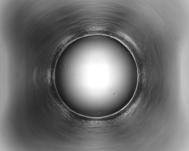 X0000096720777200802051442