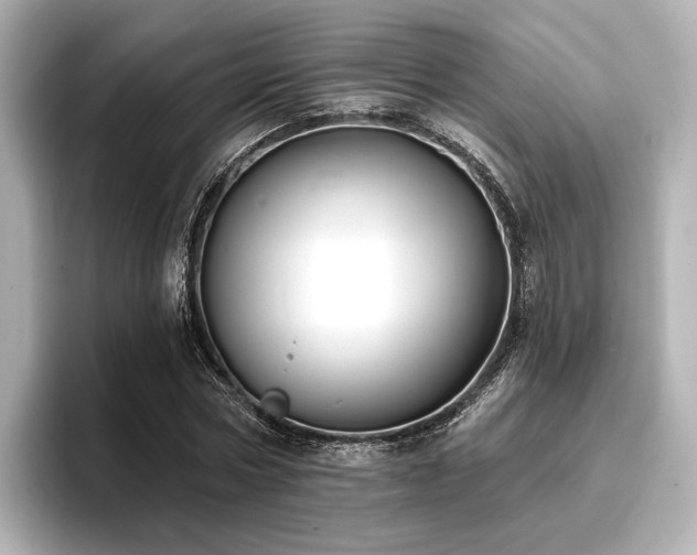 X0000096720778200802051442