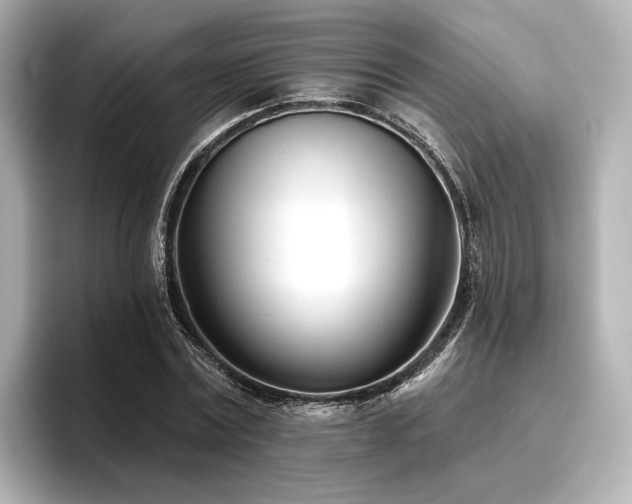X0000096720779200802051442
