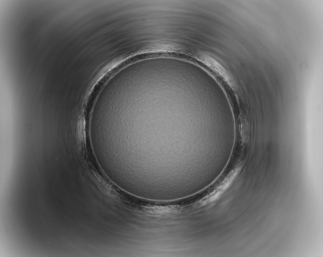 X0000096720781200802051442