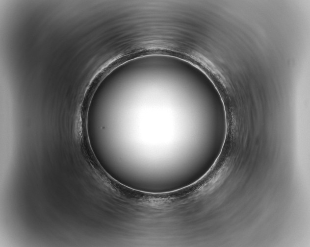 X0000096720782200802051442