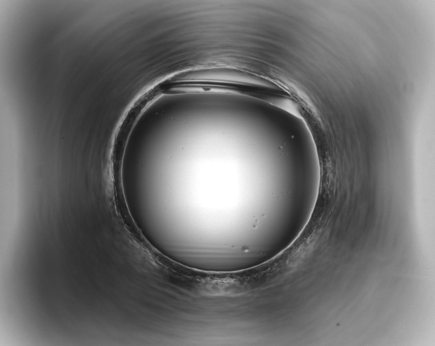 X0000096720784200802051442