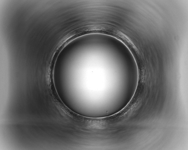 X0000096720786200802051442