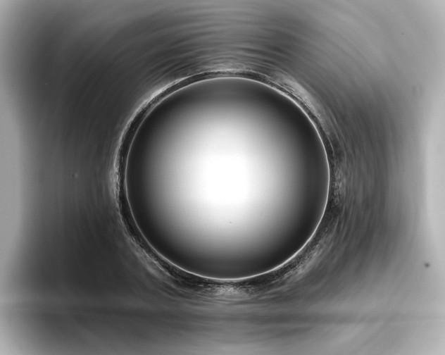X0000096720787200802051442