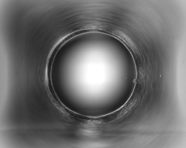 X0000096720788200802051442