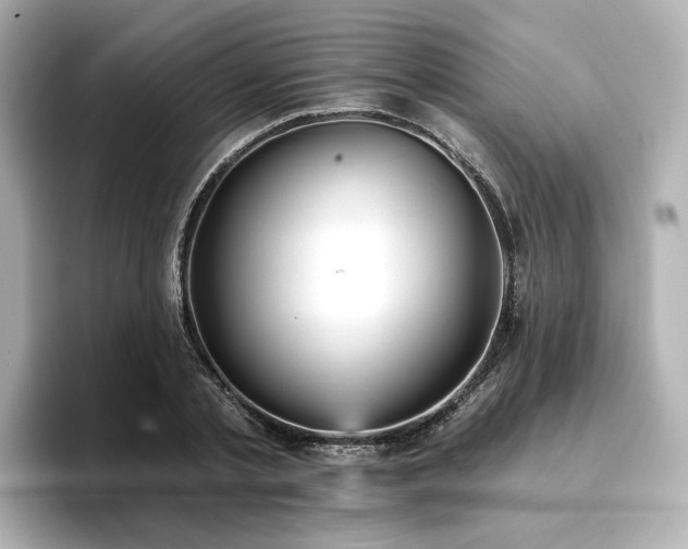 X0000096720789200802051442