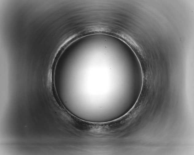 X0000096720790200802051442