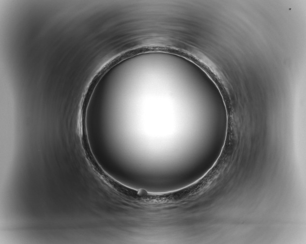 X0000096720791200802051442