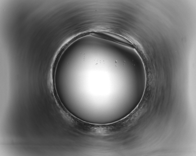 X0000096720792200802051442