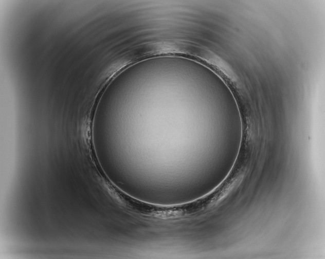 X0000096720793200802051442