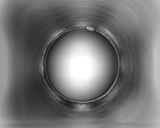 X0000096720794200802051442