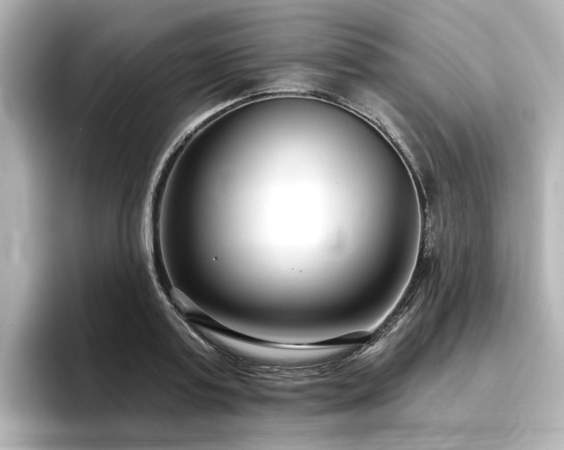 X0000096720795200802051442
