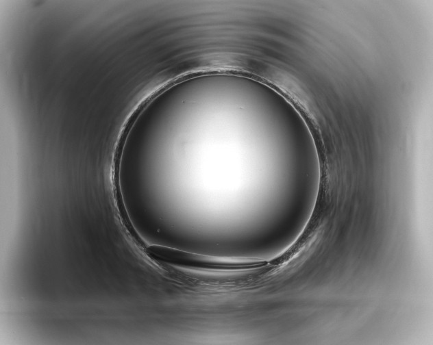 X0000096720797200802051442