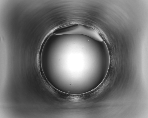 X0000096720798200802051442