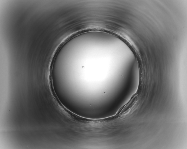 X0000096720799200802051442