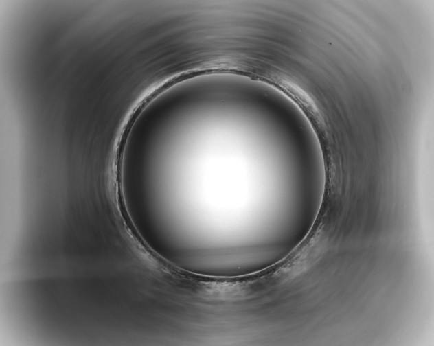 X0000096720800200802051441