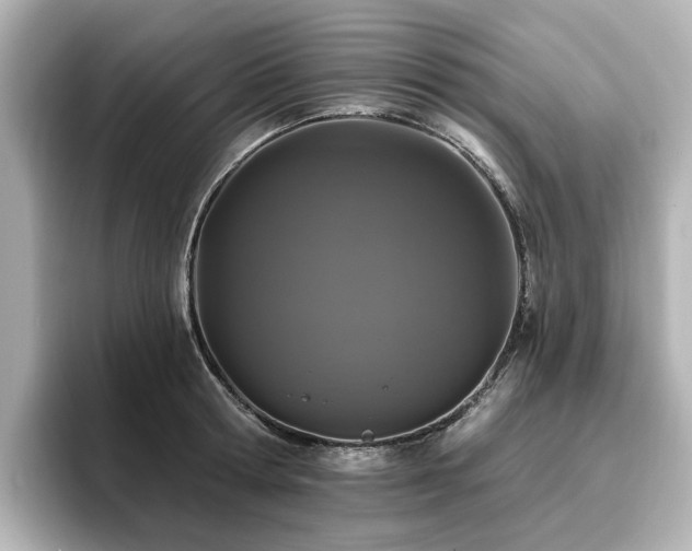 X0000096720802200802051441