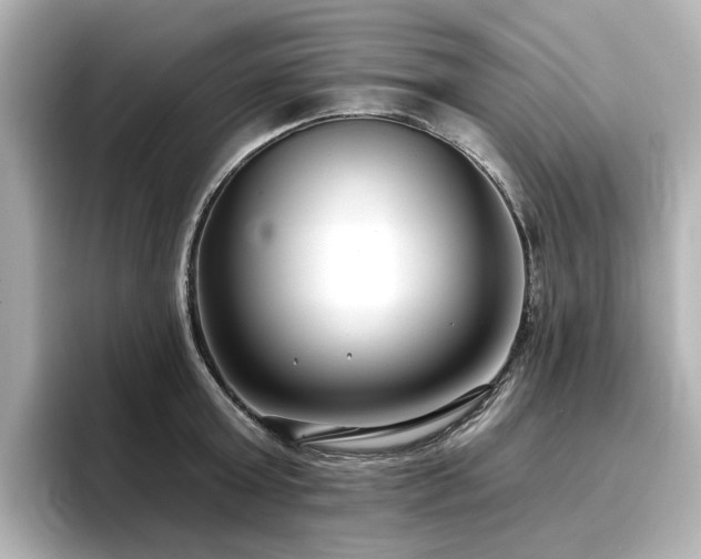 X0000096720803200802051441