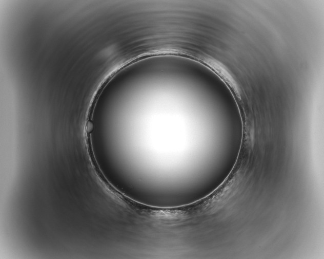 X0000096720805200802051441