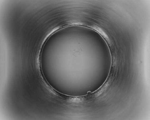 X0000096720806200802051441