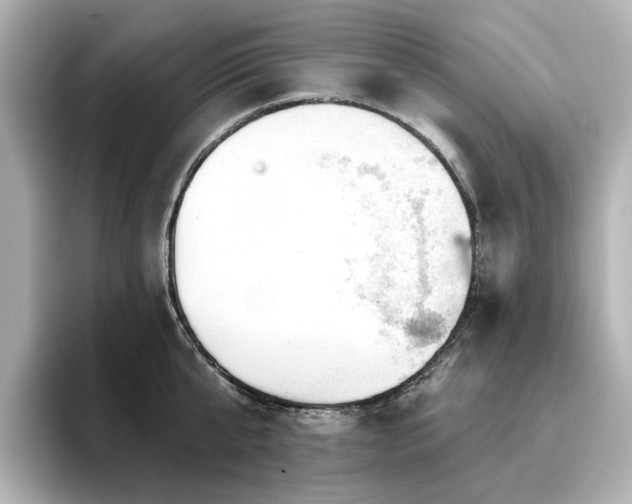 X0000096720807200802051441
