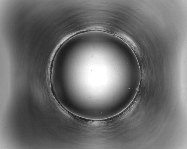 X0000096720808200802051441