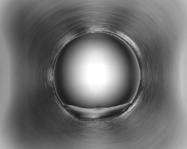 X0000096720809200802051441