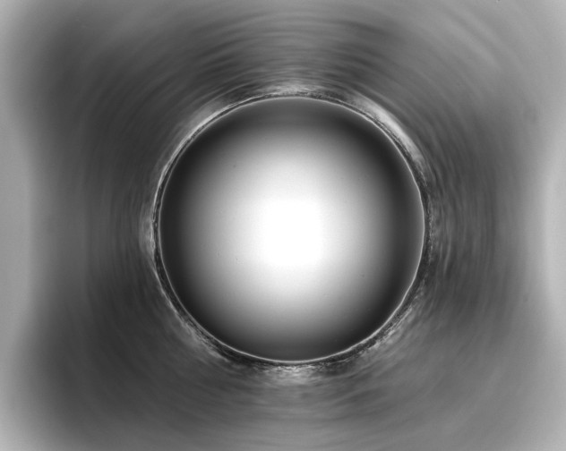X0000096720810200802051441