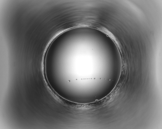 X0000096720811200802051441