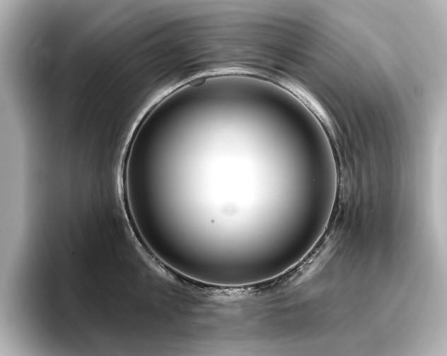 X0000096720813200802051441
