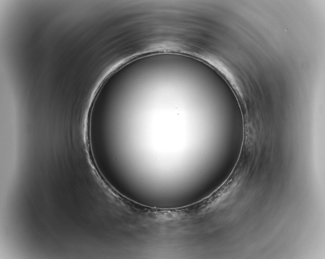 X0000096720815200802051441