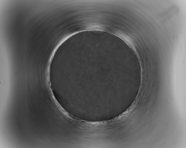 X0000096720816200802051441