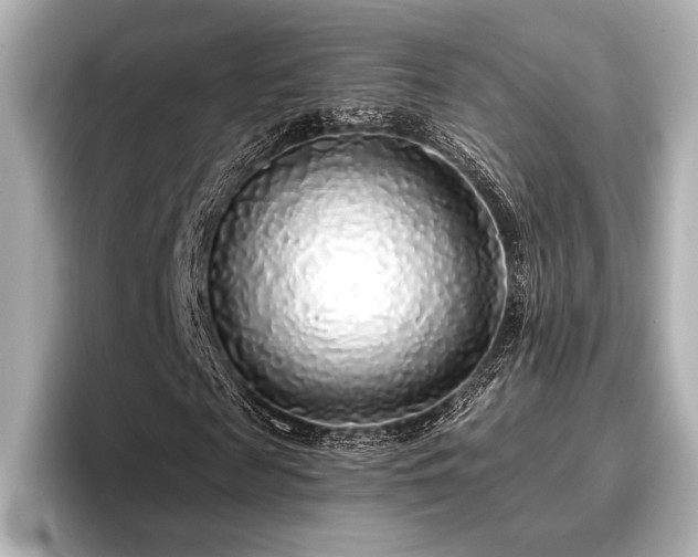X0000096720817200802051441