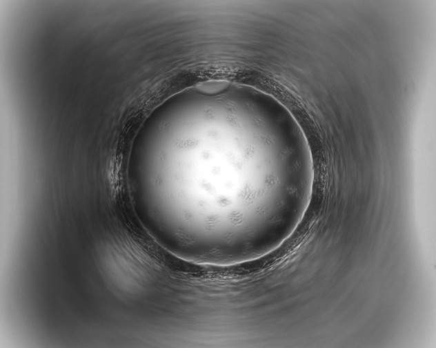 X0000096720818200802051441