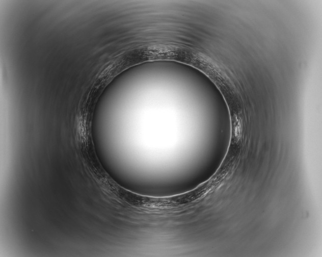 X0000096720819200802051441