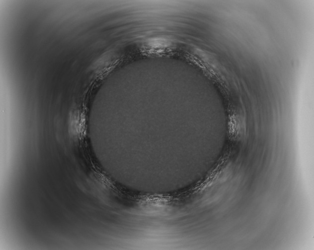 X0000096720820200802051441