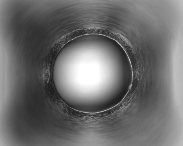X0000096720821200802051441