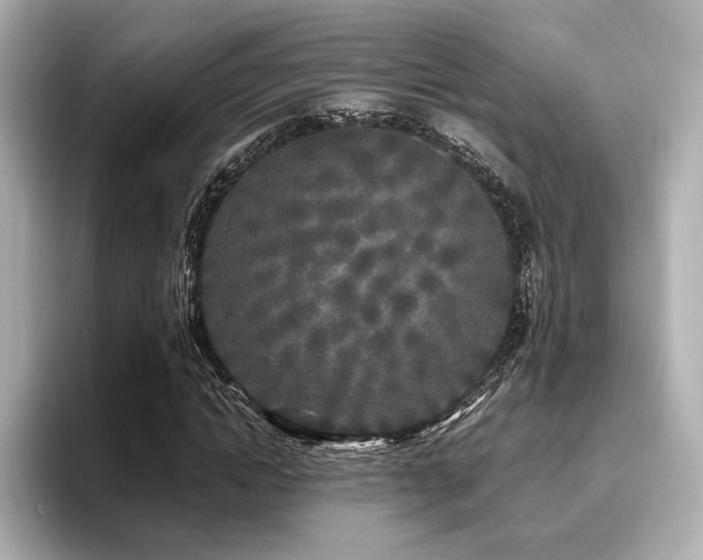 X0000096720822200802051441