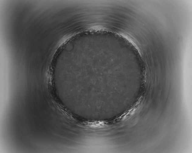 X0000096720823200802051441